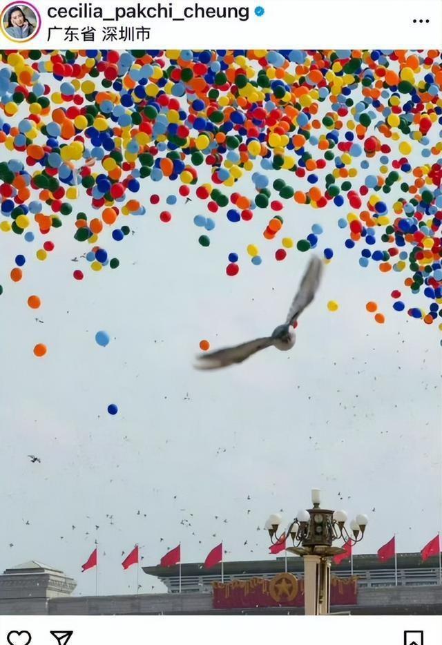 5.jpeg