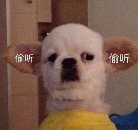9.jpeg