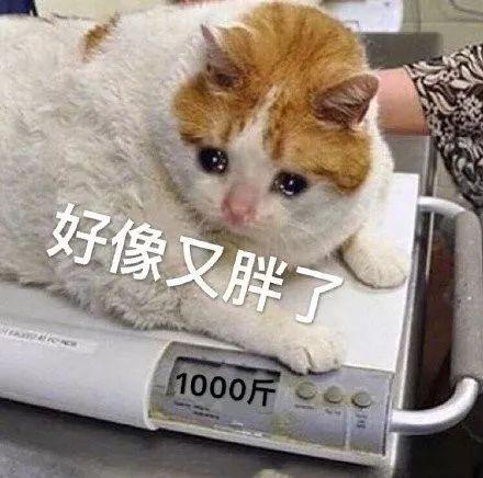 18.jpeg