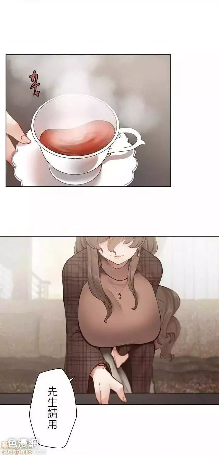 11786153.jpg