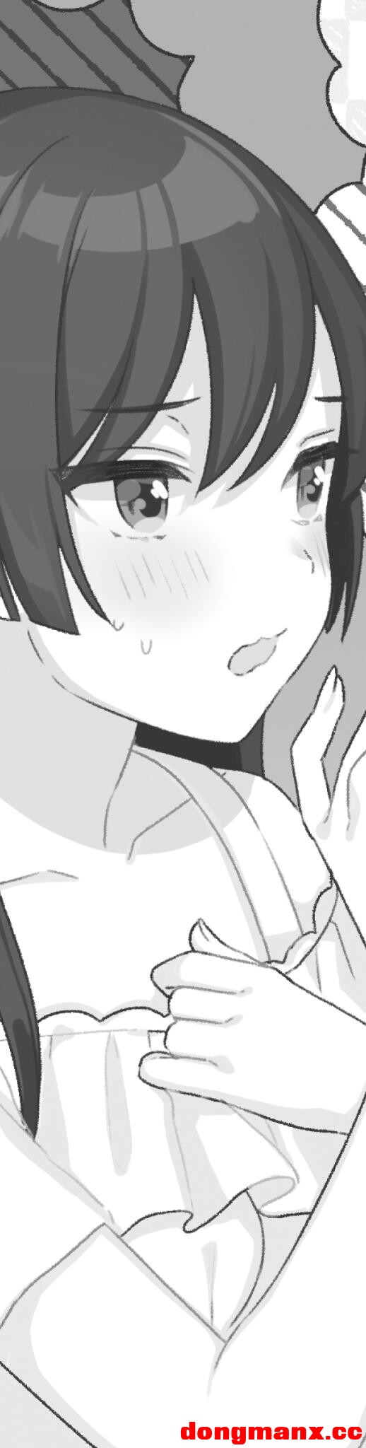 3.jpeg