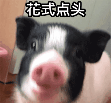 6.gif